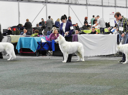 Merlin & Anna - Marie